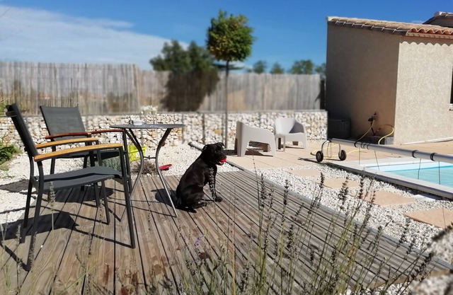Quiet villa, private pool, fully fenced grounds (pets welcome).
