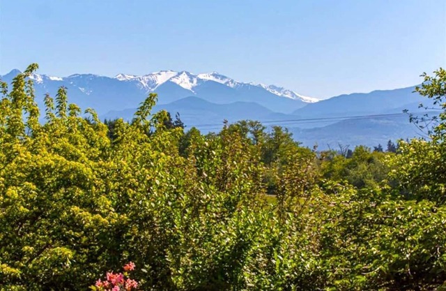 Rabbit's Peaceful Retreat with Stunning Views