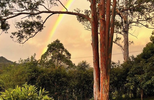 Rainbow Farm Studio - Sleep to the sounds of the Orara River 15 mins from Coffs.