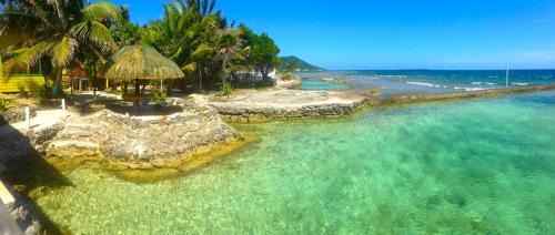Reef House Resort