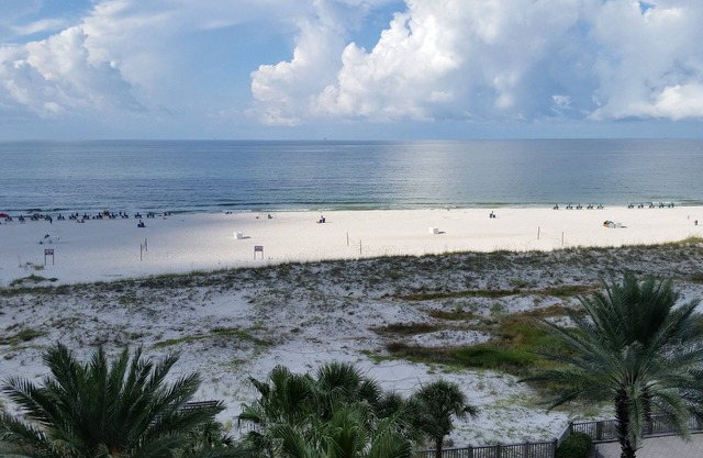 Relax, At This Beautifully Decorated Condo With An Amazing View! Bristol 606.