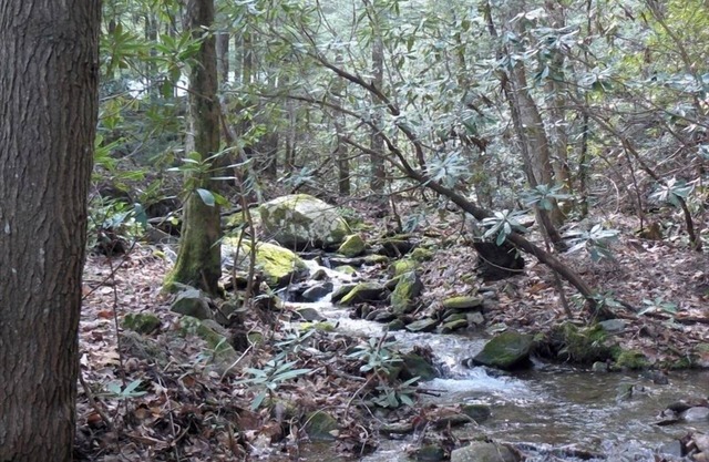 Relax in Seclusion at the 'Cozy Creekside Lodge' with Creekfront Sleeping Porch