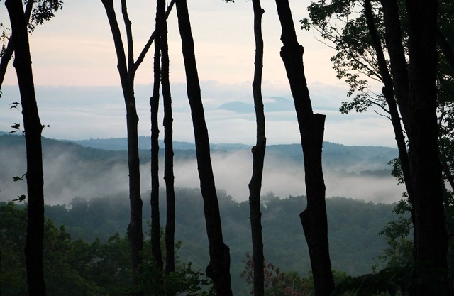 Relax in the Blue Ridge TreeTops - Paved Road to Cabin!