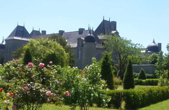 Relaxing and stylish living and vacation in the castle with a large park