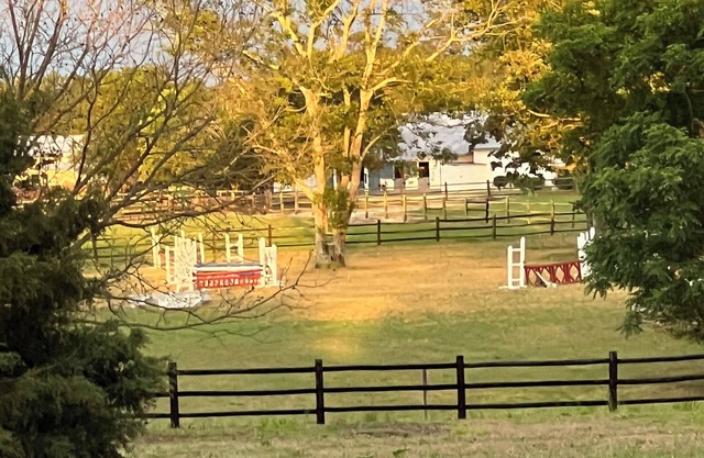 Relaxing, peaceful, and lush horse farm. Quiet, 30 acres, & close to everything!
