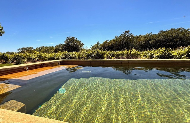 Renovated Mas at the Foot of Ventoux 10/12 People With Swimming Pool