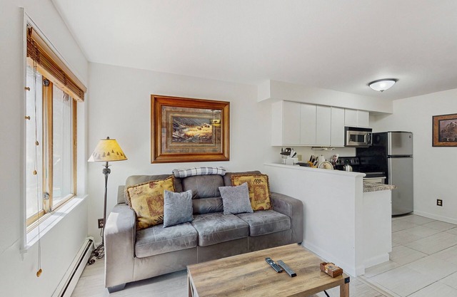 Renovated Ski-in Dog-Friendly condo – Walk to Main Street!