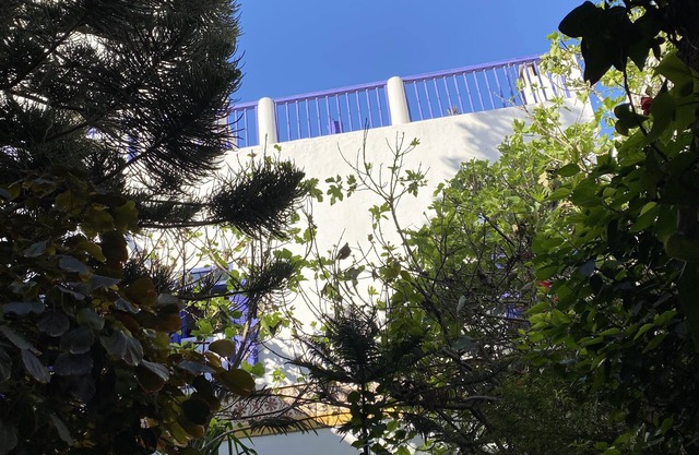 Riad Authentique Xviiième Siècle, au Coeur de la Medina, à 5 Minutes de la Plage