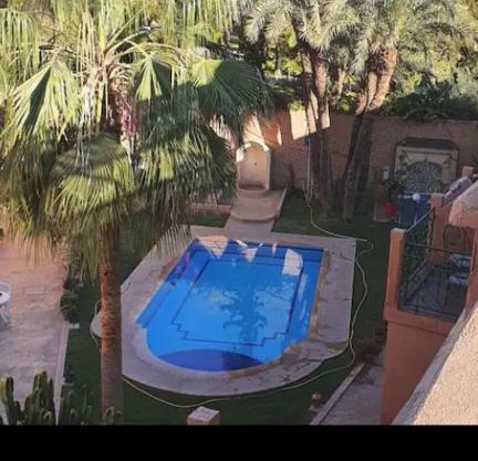 Riad rosa saffa