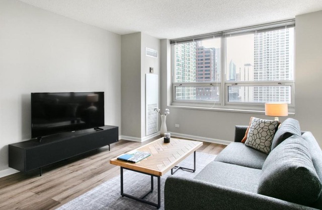 River N 2BR w Gym WD nr Magnificent Mile CHI-164