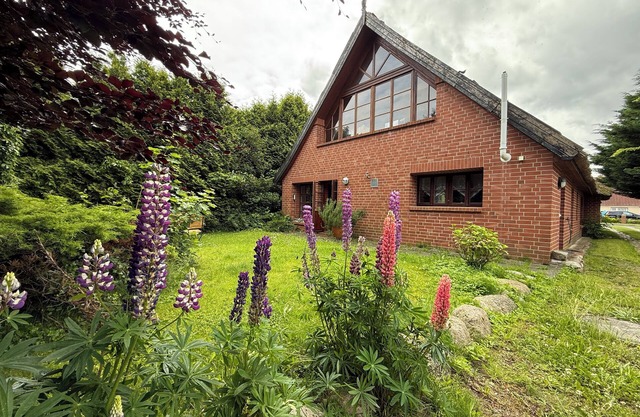 Romantic country house with thatched roof and park-like garden + free laundry package.