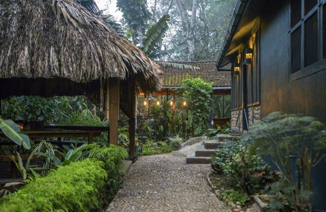 Romantic Jungle Suite w/Lush Tropical Views, Private Bath, and Air Conditioning