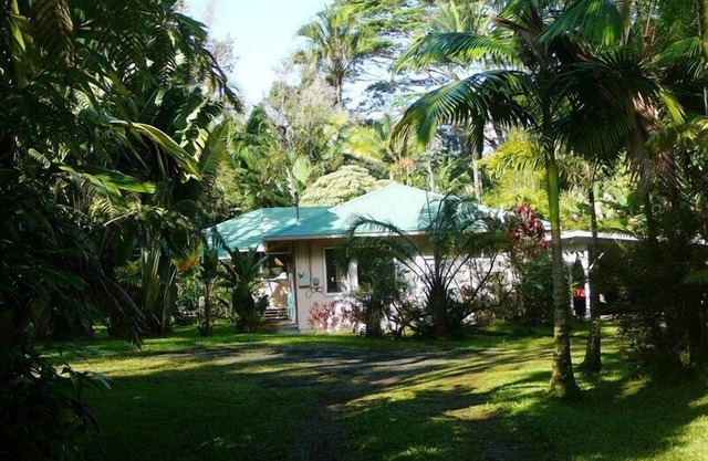 Room for Family and Friends in a Secluded Rain Forest Setting