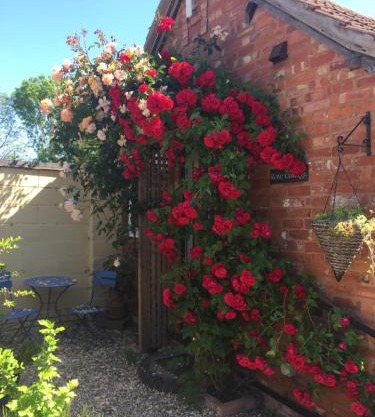 Rose cottage