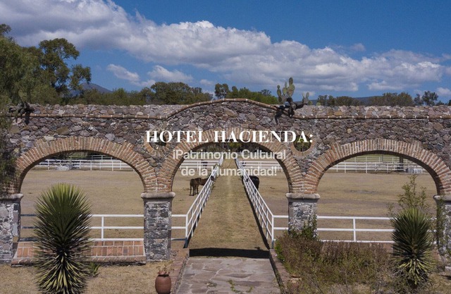 Royal Silver Inn Standard Single Room II