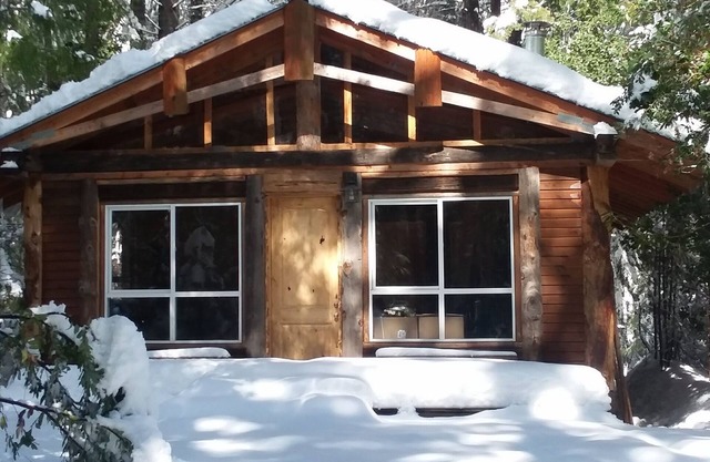Rustic mountain retreat - escape to a hand-built cabin in the woods
