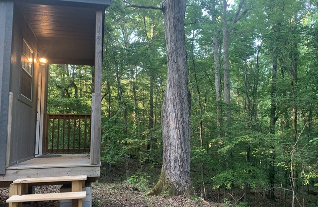 Rustic Primitive Cabin near Athens GA!