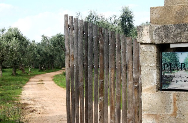 Salento rural residence immersed in an olive grove