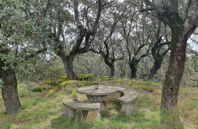 Santuario de luz