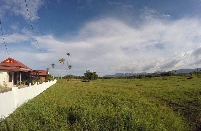 Sawah Padi Villa - Rice Paddy Field Views