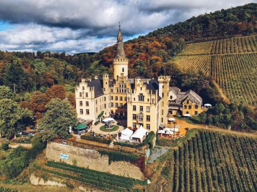Schloss Arenfels