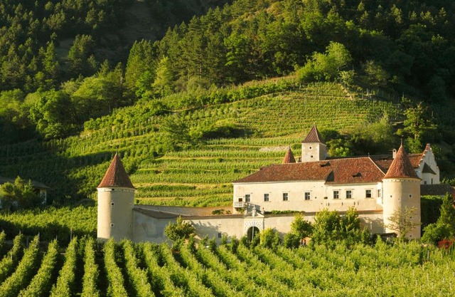 Schloss Goldrain - Bildungshaus