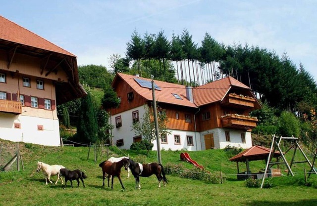 Schwörerhof - Apartment 70sqm, 2 bedrooms, 1 living room/bedroom, max. 5 people