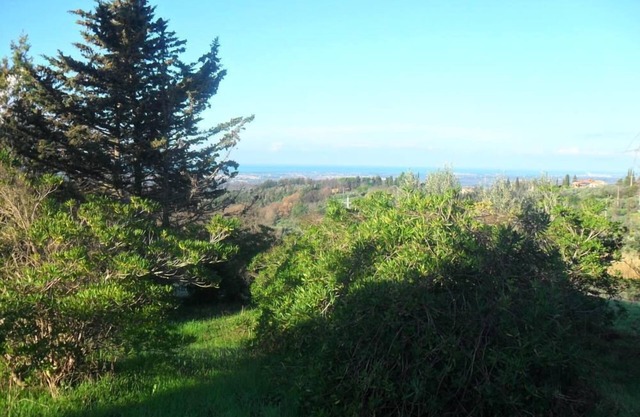 Sea and countryside together LAST MINUTE