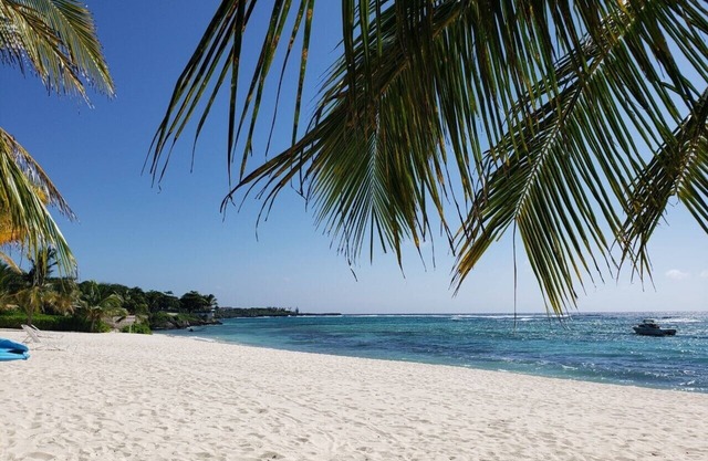 Seaing Spotts: Secluded Beachfront Suite Grand Cayman Caribbean Blue water!