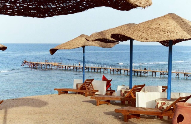 Seaside Resort Fun + Water Sports, Evening Shows & Yoga l 4 Sea-view Rooms