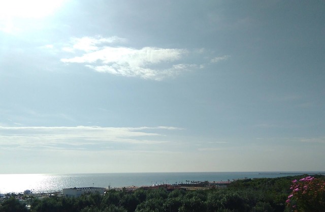 Seaview 2 bedroom flat free parking on site - Beachfront house