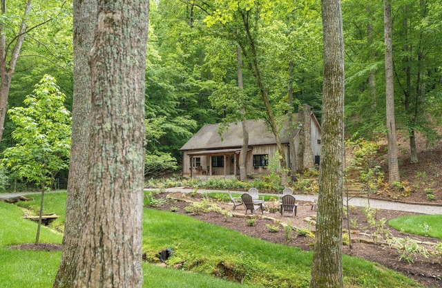 Secluded Cabin in the Woods Close to It All