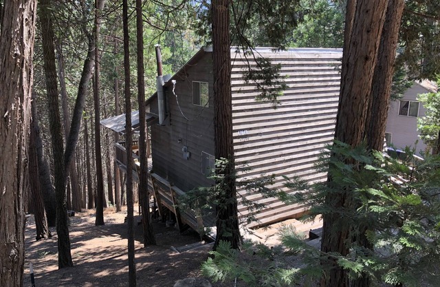 Sequoia National Forrest CabinK