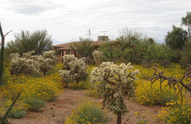 Serene desert environment, great sunsets, beautiful wildlife and long walks.