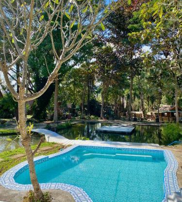 Shaya Resort