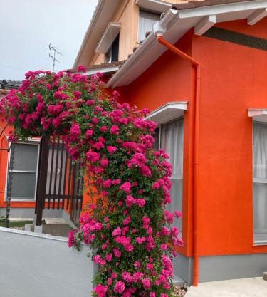 SIBARIAN Guest House