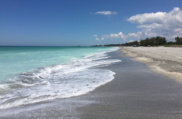 Siesta Key Island Reef Sarasota Florida condominium bay to beach