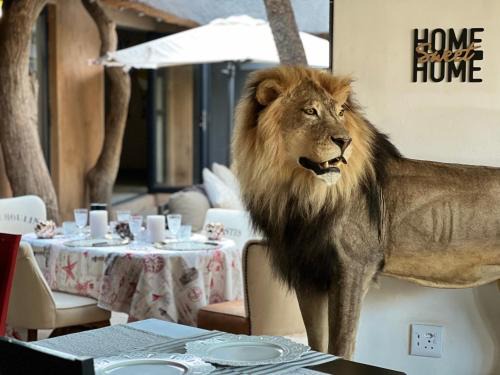 Simba Safaris African Pride Exotic Lodge