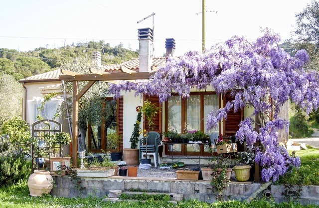 Single family villa with s garden in a quiet area near Portoferraio.