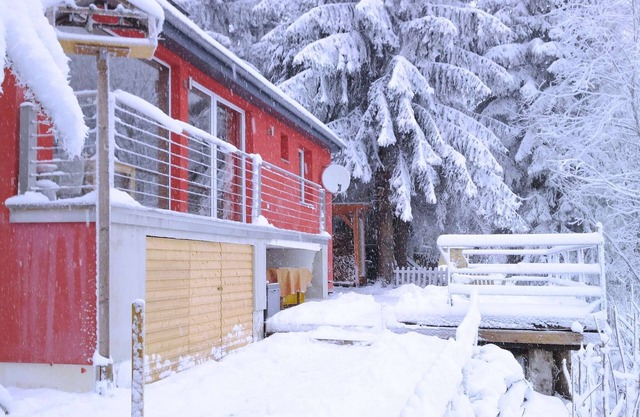 Ski & Hiking Forest Stay