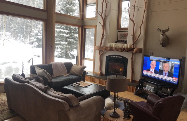 Ski in/out, Luxury with Amazing Views, Open Concept, 29 ft Ceilings, Airy!
