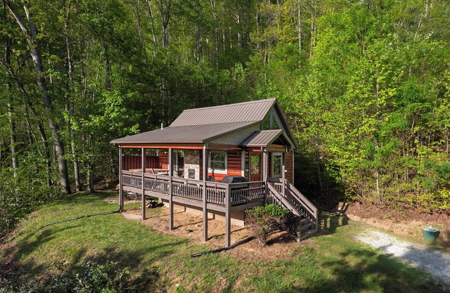 Skyview J.E.M - Romantic 1BR + Loft Smoky Mountain Cabin w/Hot Tub, Fire Pit & Forest Views