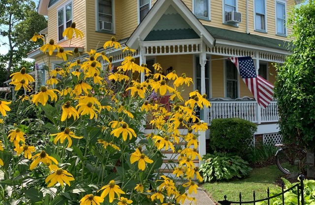 Sleeps 8. Early check in by noon. Gardens are in Bloom , Pet friendly!