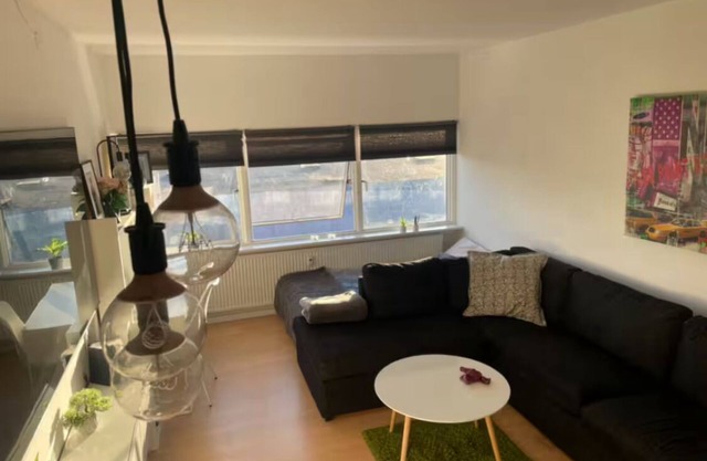 Small cozy apartment close to Copenhagen city center