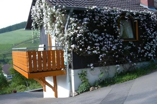 Small holiday cottage Ivy