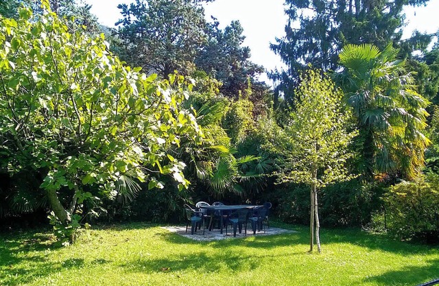 Spacious 4-room apartment with private garden only about 100 m from the beach