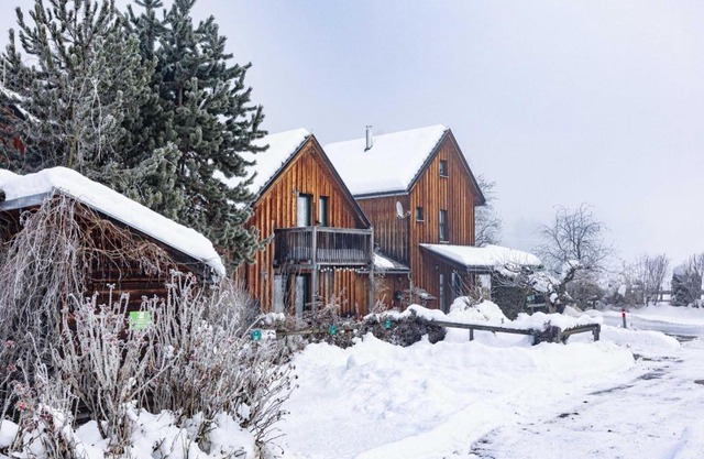 Spacious chalet near the ski area