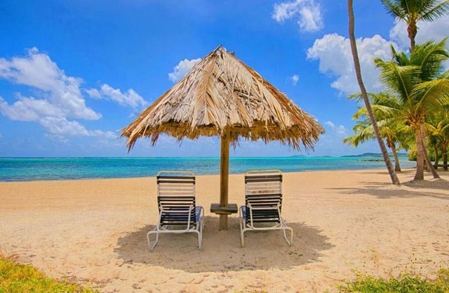Spacious BEACHFRONT Condo with STUNNING Buck Island & Sea Views.