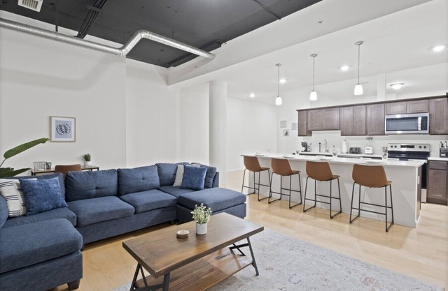 Spacious City Apartment - 1BR