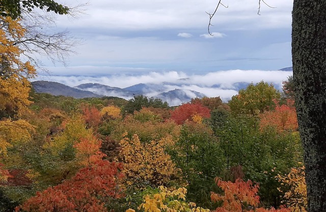 Spacious, fully stocked house, close to skiing, fantastic long range view